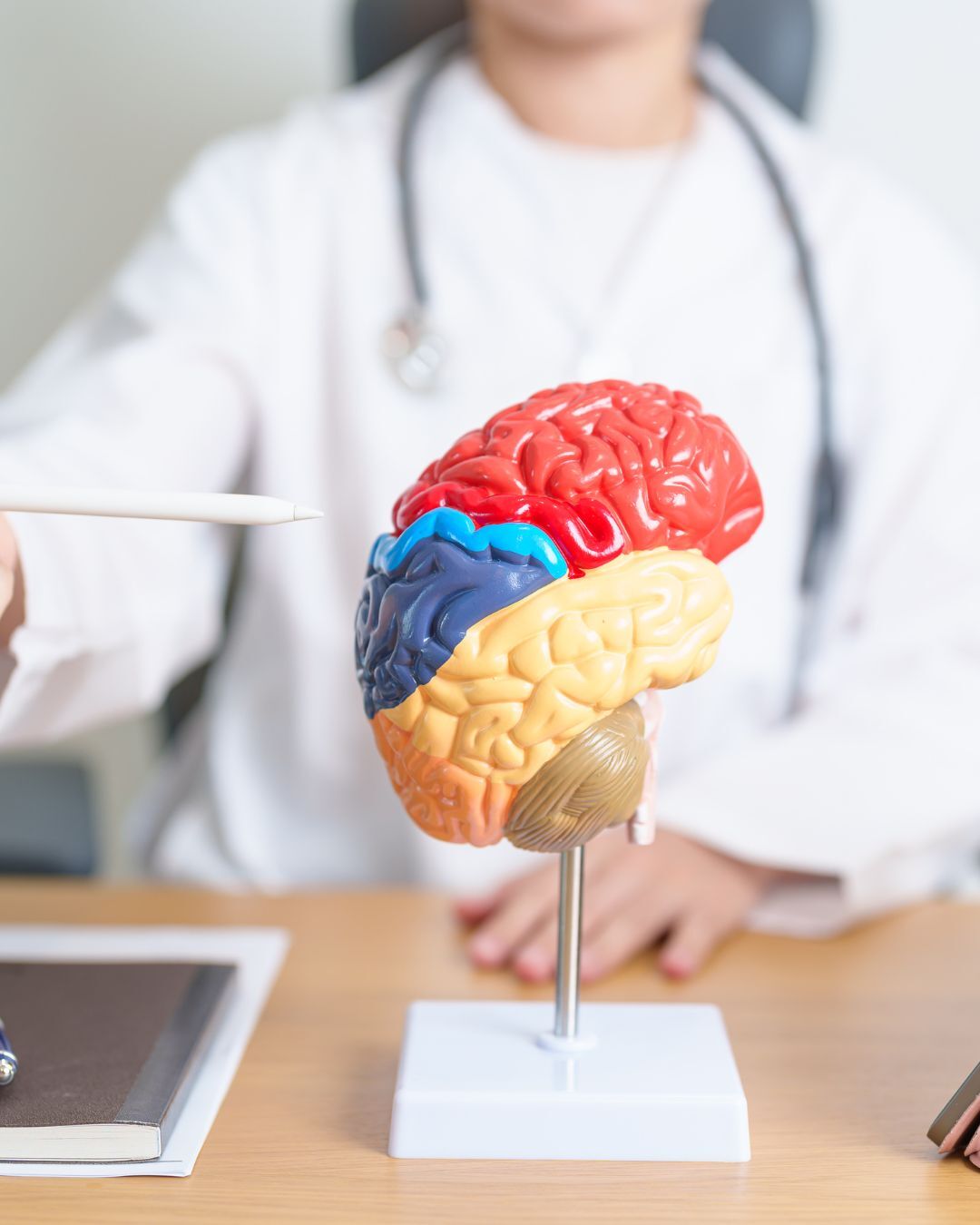 Tu cerebro es el centro de todo lo que eres. Desde lo que piensas hasta  cómo te mueves, ¡todo parte desde ahí! 🧠 ¿Te has preguntado alguna vez  cómo funciona cada parte, image size:1080x1350